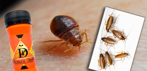 Θεραπεία για κοριούς και κατσαρίδες Delta Zone: περιγραφή και κριτικές