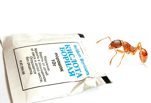 Borsyra kan användas för att göra giftiga beten som effektivt dödar myror.