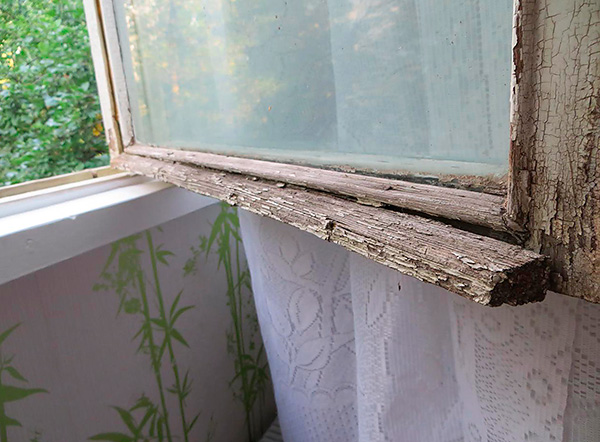 Vägglöss kan komma in i lägenheten längs byggnadens yttervägg genom sprickor i gamla fönster.